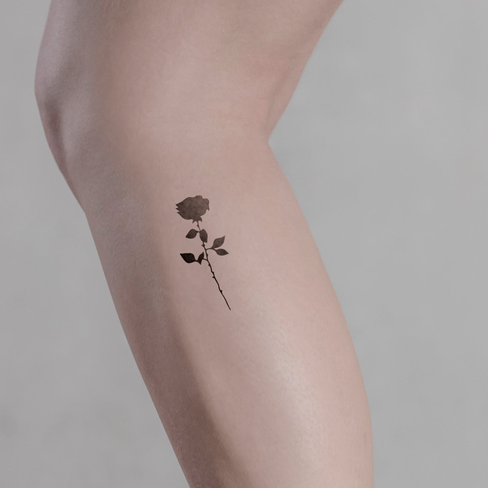 Fine Line Rose Temporary Tattoo - Set of 3 – Little Tattoos