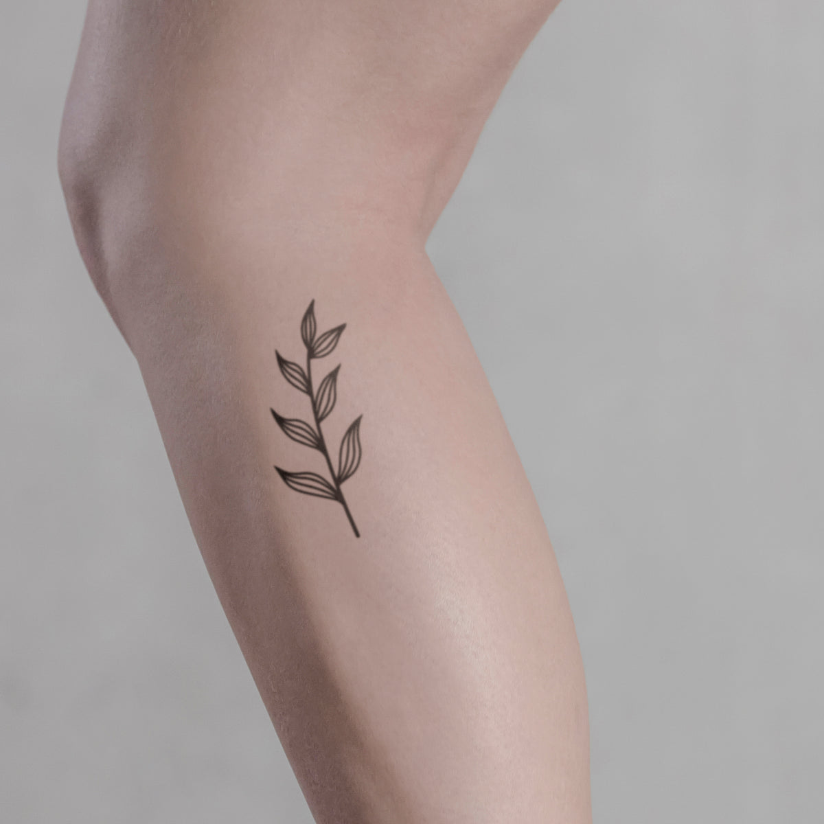Blätterzweig Tattoo von minink, der Marke für temporäre Tattoos.