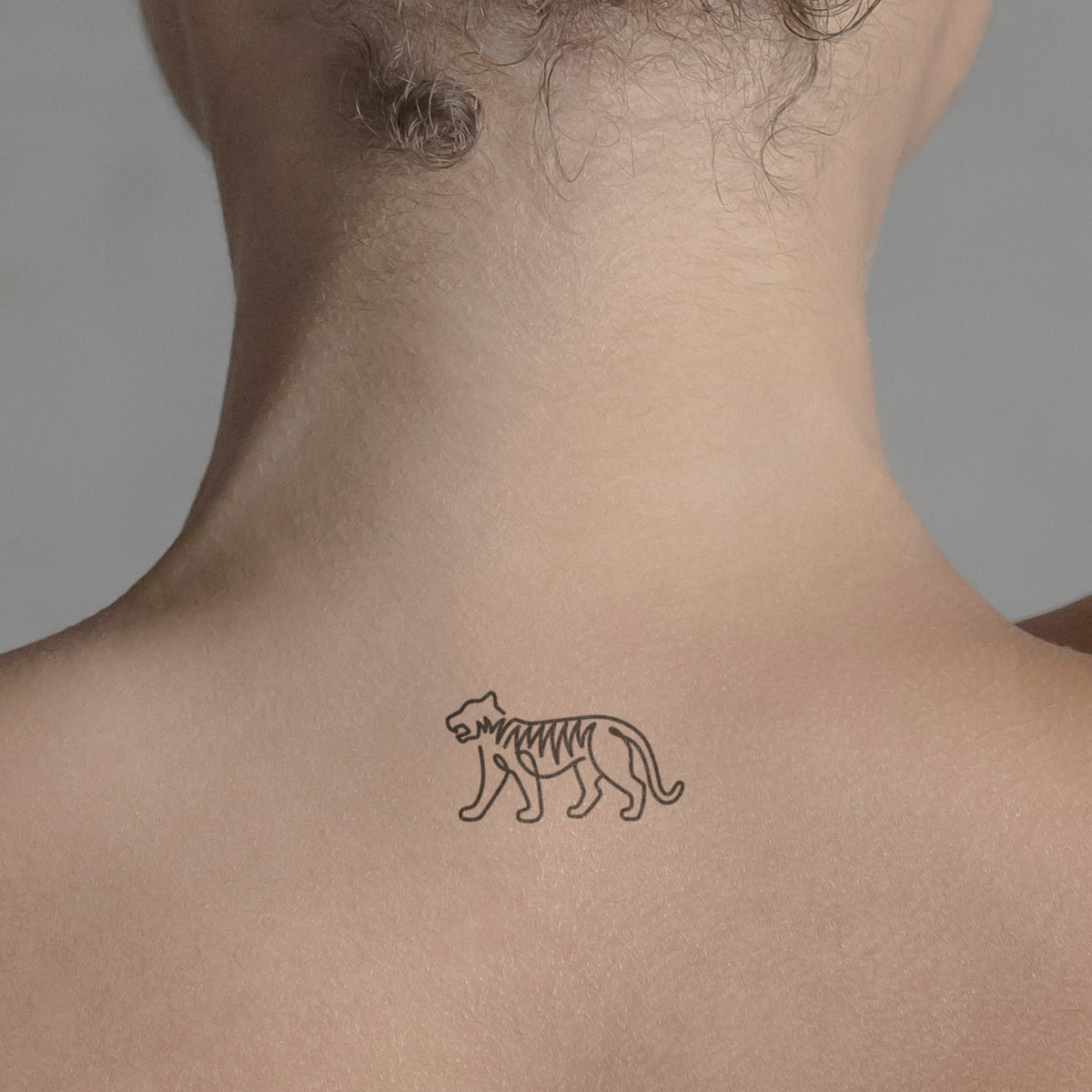 Tiger Resting Temporary Tattoo (Set of 3) – Small Tattoos