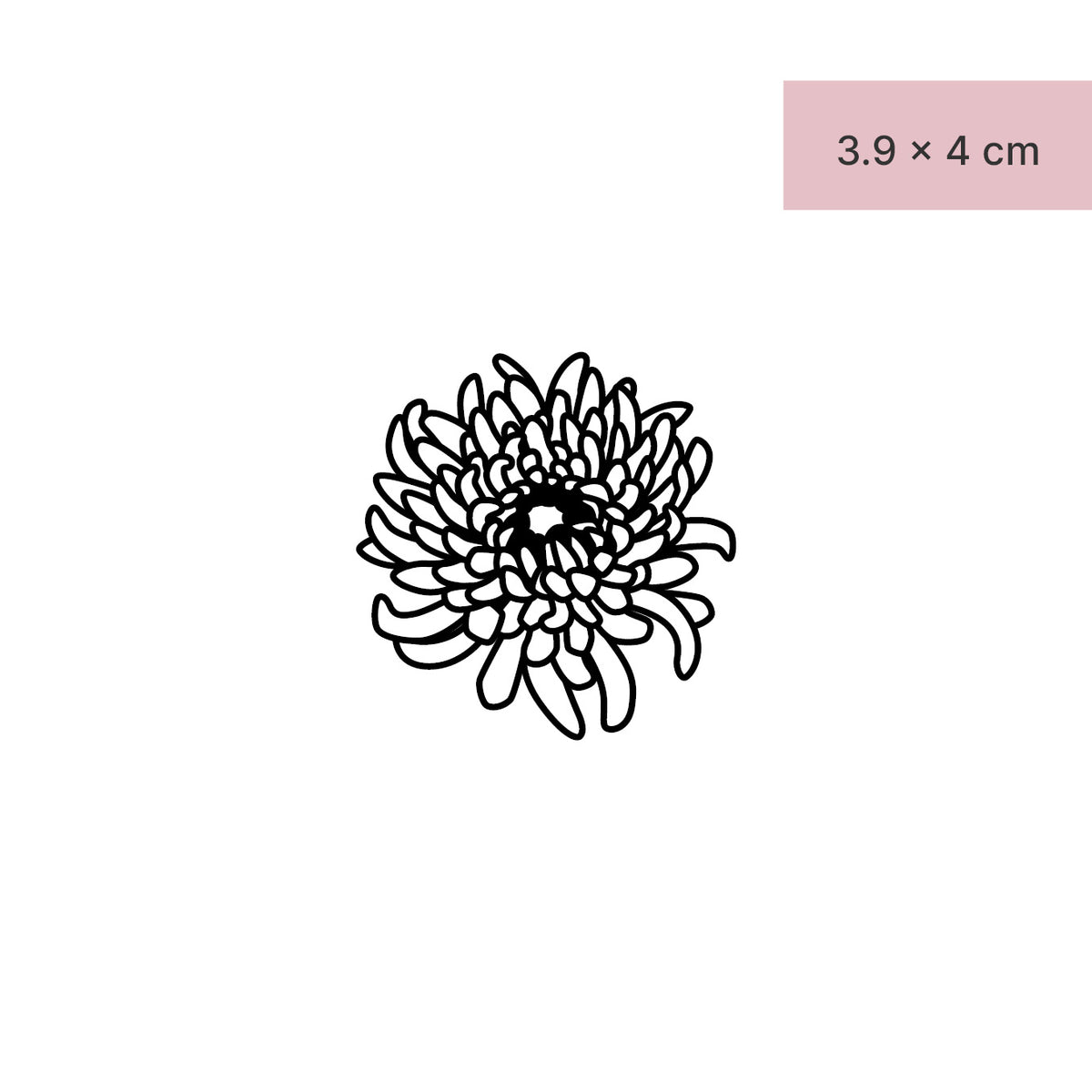 Delicate Chrysanthemum Tattoo | Simple tattoos, Chrysanthemum tattoo,  Floral tattoo sleeve