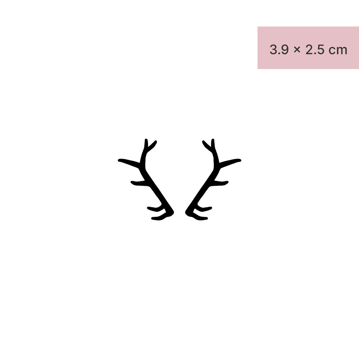 Large antlers