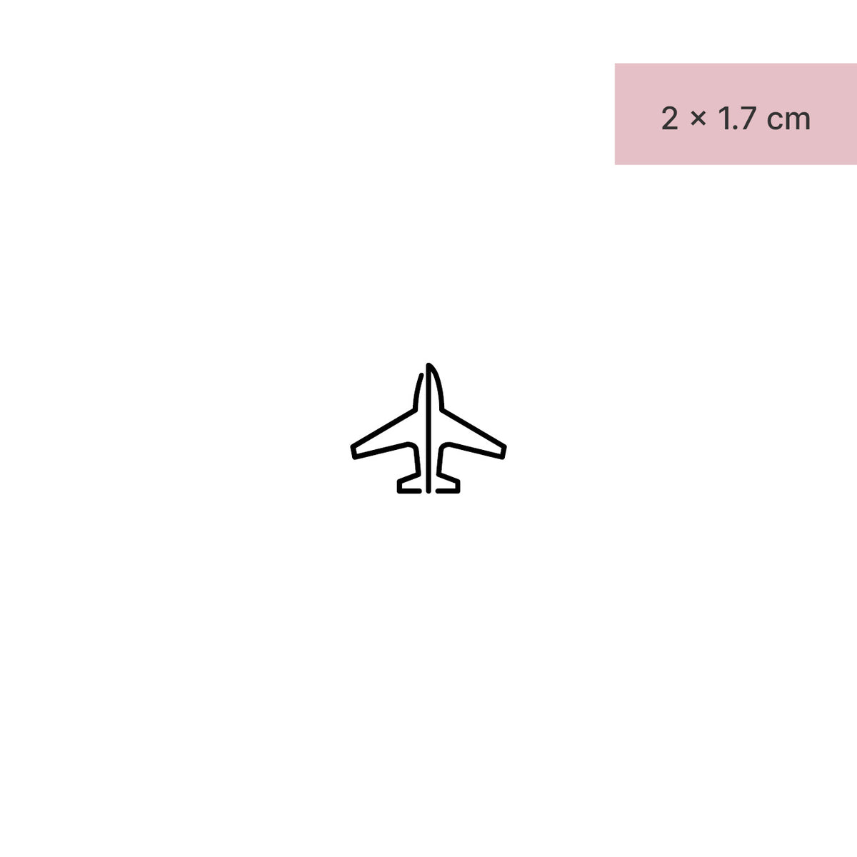 Minimalist airplane